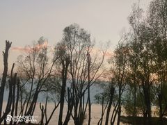 -大理洱海