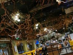 大堂-八斗鸡·湘土菜(国贸店)