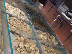 -萧邦音乐会所KTV·蒸汽活海鲜自助(福田店)