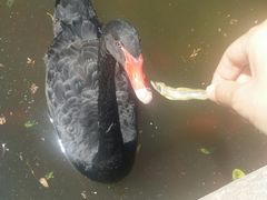 -昆明动物园