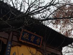 -西安大兴善寺