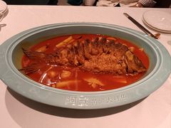 -阿五黄河大鲤鱼(海尚店)