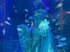 -沈阳海洋探索中心