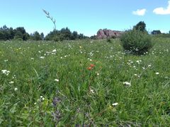 -白草畔自然风景区