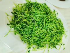 -日日香卤鹅饭店·澄海狮头鹅(澄海店)