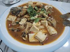 -煲来饱去冷水鱼
