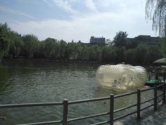 -莲湖公园