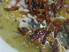 -九毛九西北菜(大东海店)