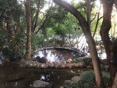 -湖泉半山温泉