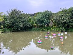 -林丰温泉度假山庄