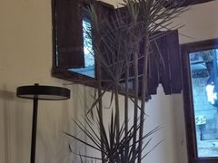 -Nirvana Cafe&Bar(北仓文创街区店)