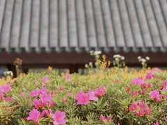 -和平公园