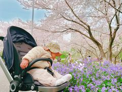 -白塘生态植物园