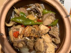 -老乡鸡(上海白玉兰广场店)