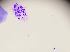 -美联众合24小时·皮肤科·外科·全科诊疗中心(华苑分院)