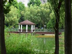 -新虹桥中心花园