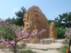 -渡海小渔村.老辈日照菜