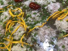 -老傅家湘潭水煮活鱼店(众一国际店)