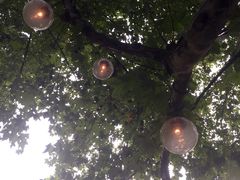iphone_upload_pic-Ginger(兴国路店)
