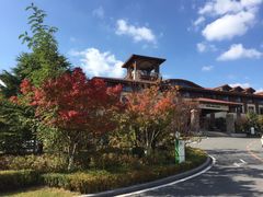 -大连金石滩绿发温泉假日酒店