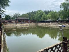 -尚庄度假村·庭台树下·户外烧烤·团建CS·轰趴营地(上庄水库店)