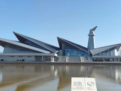 -盐城丹顶鹤湿地生态旅游区