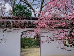 -梅花山(明孝陵内)