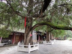 -姜子牙钓鱼台风景区