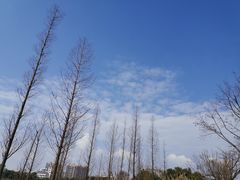 -眉山湿地公园(东坡区)