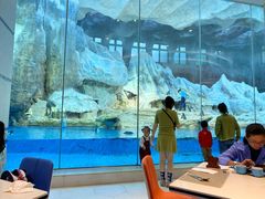 -帝企鹅自助餐厅•儿童岛•真企鹅(长隆企鹅酒店)