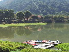 -风云岭森林公园