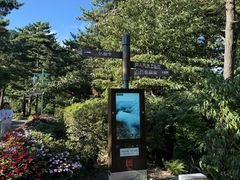 -庐山风景区花径公园