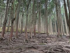 -含鄱口