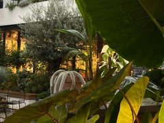 -自由生长植物工作室(深港花卉中心店)