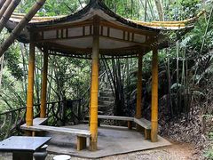-滴水岩森林公园