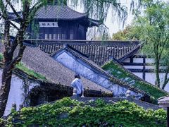 -鲁镇