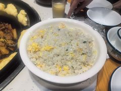 -洪湖家庭农场·团建·露营·会议