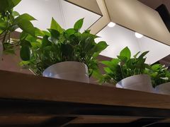 -肯德基(沈辽路店)