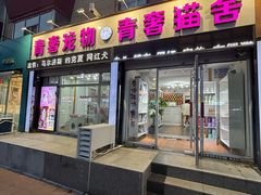 -青奢宠物·青奢猫舍