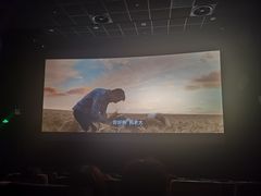 -百美汇影城(LUXE嘉里中心店)