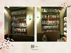 -猫咪博物馆(顶澳仔猫街店)