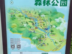 -广州白江湖森林公园