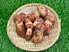 -山人野生菌餐厅