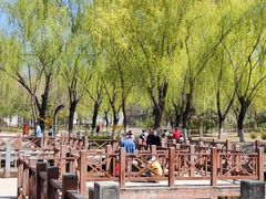 -丰台科技园生态主题公园