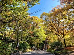 -北海道神宫
