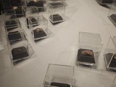 -北京周口店北京人遗址博物馆