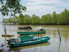 -东寨港红树林旅游区