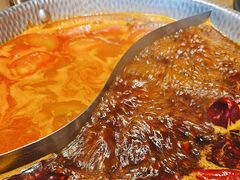 -手选潮汕鲜活牛肉火锅(二七广场店)