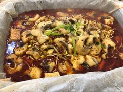 -渣男纸包鱼(学院路店)