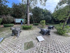 -广东惠东海龟国家级自然保护区